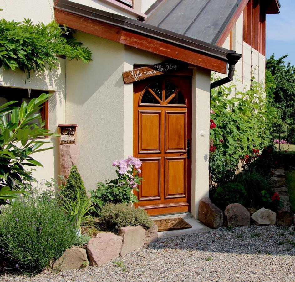 Les 3 Ceps Villa Bergholtz Room photo